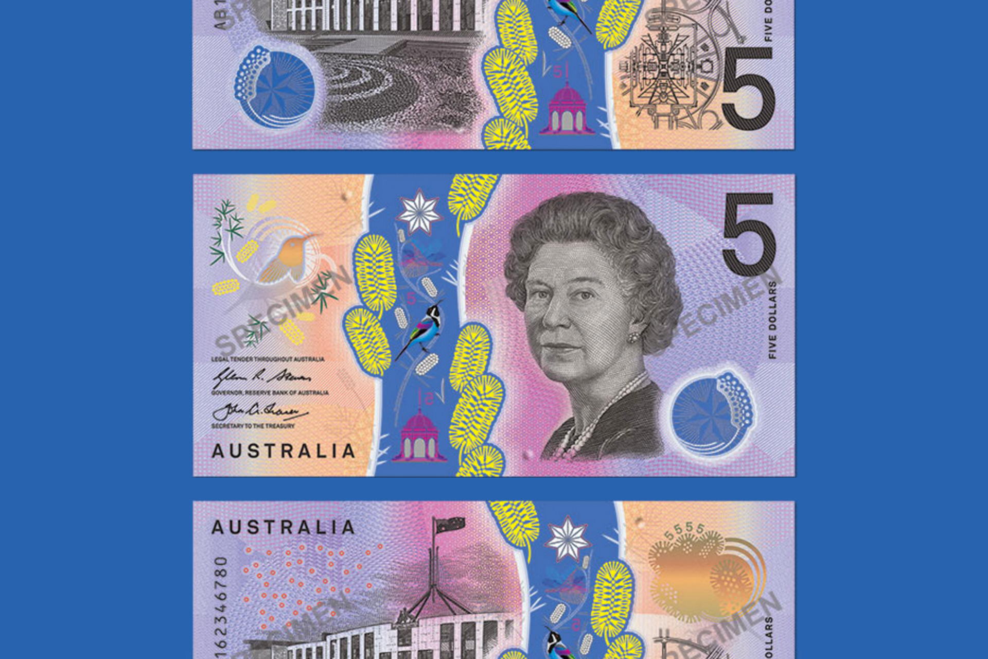 5 dollar note